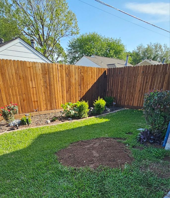 Tree Removal gallery