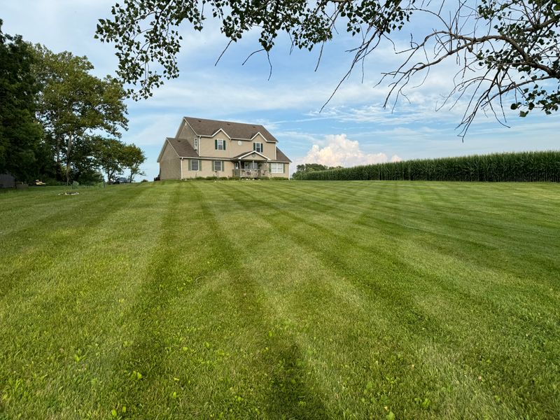 Lawn Transformation 