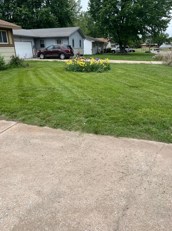 Lawn Maintenance