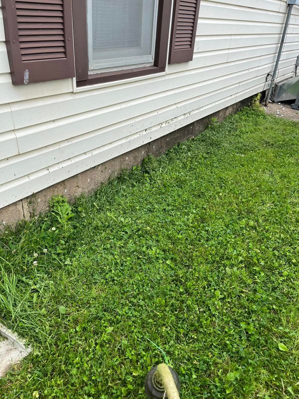 Lawn Maintenance