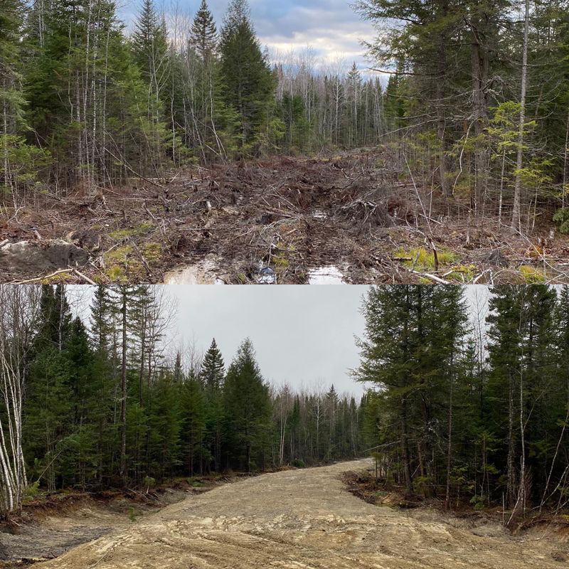 Road Building