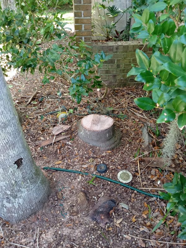 Tree Services