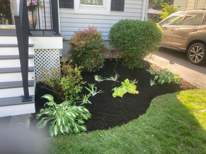 Landscape Design