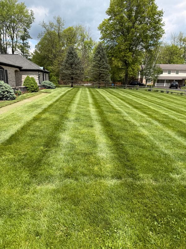 Lawn Care and Maintenance