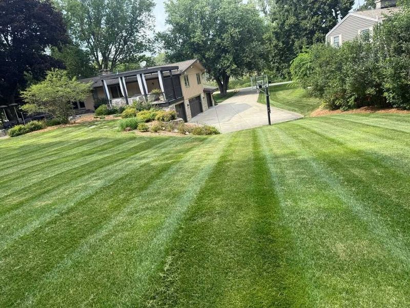 Lawn Maintenance