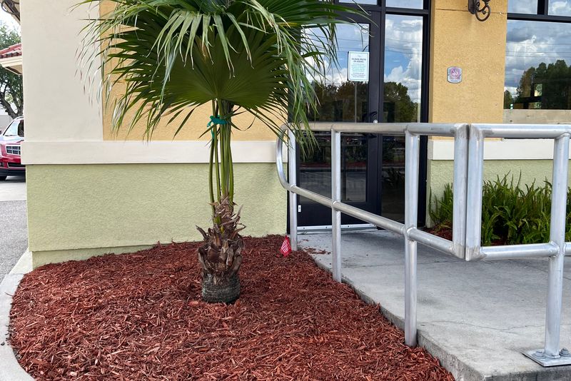 Tree Installation
