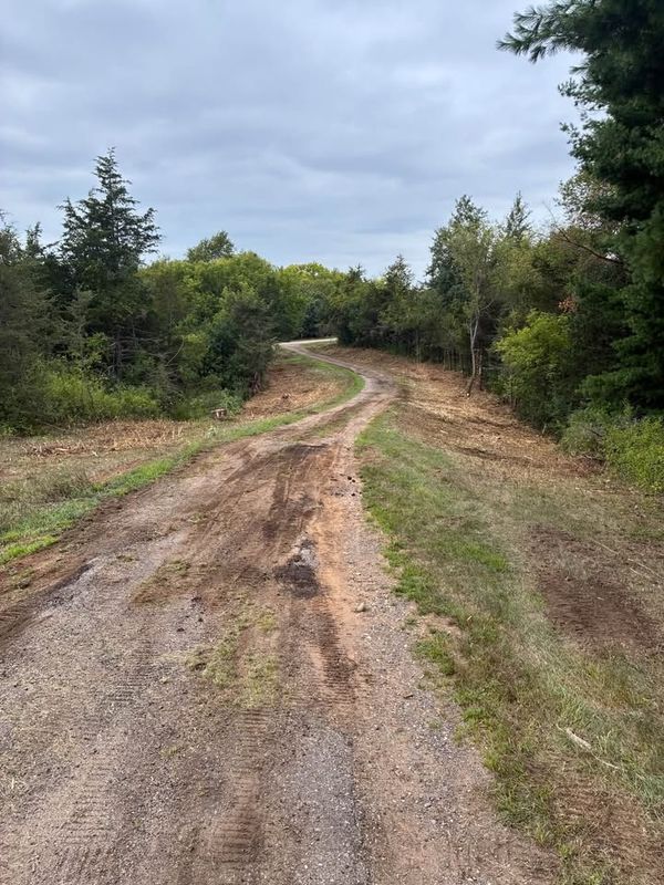 Land Clearing