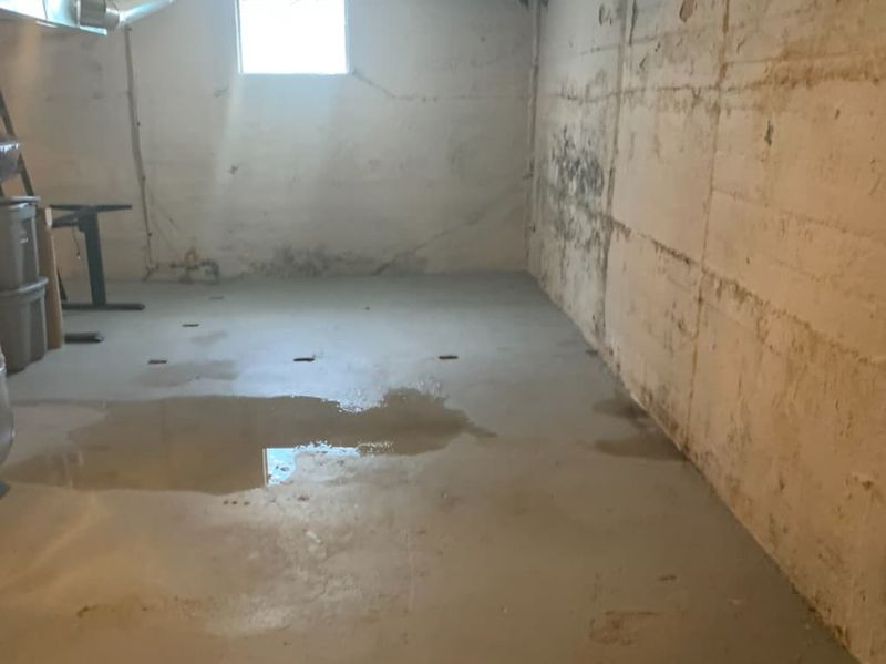 Basement Renovation