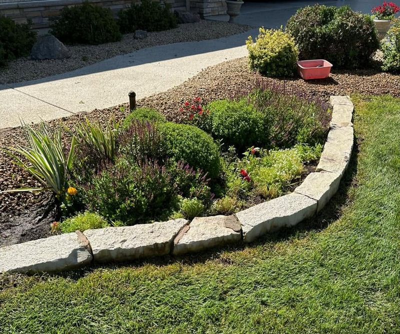 Driveway and Sidewalk Cleaning