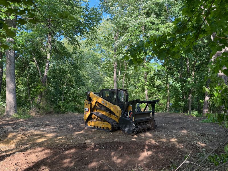 Land Clearing