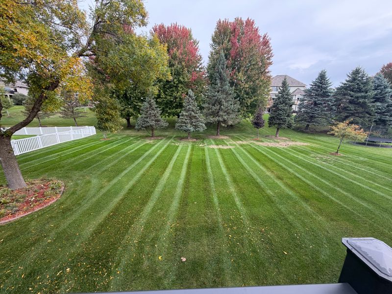 Fertilization & Weed Control