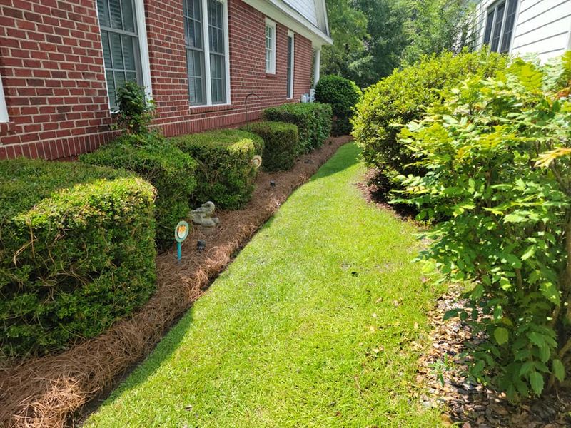Lawn Care