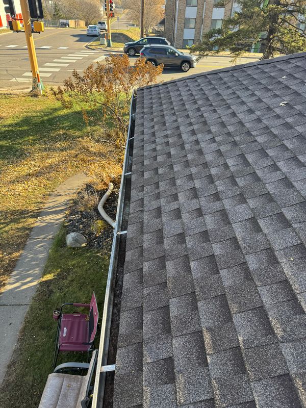 Gutter clean up