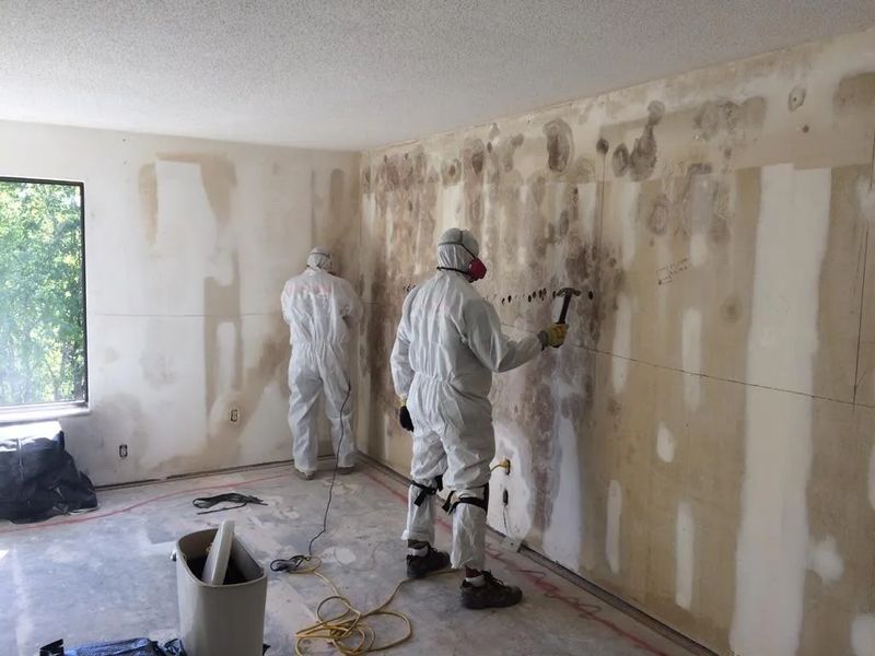 Insurance Claim Repairs