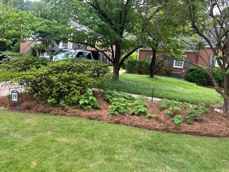 Lawn Care & Maintenance