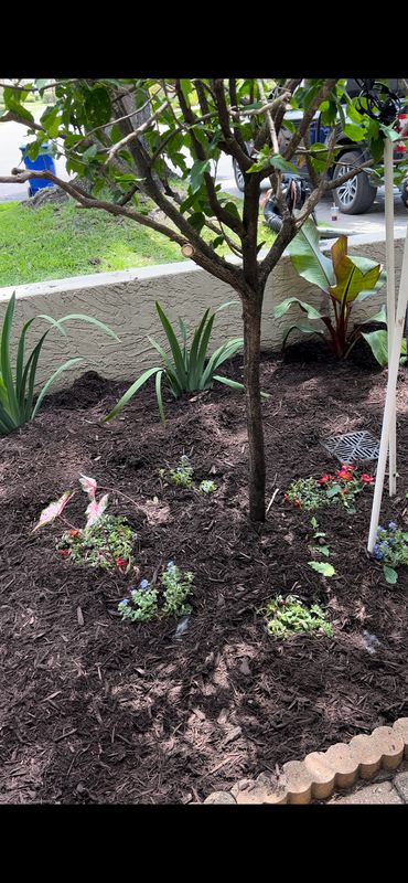 Landscaping