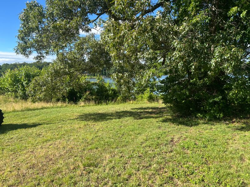 River Bank Clearing  gallery