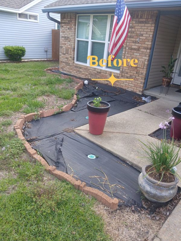 Garden Designs