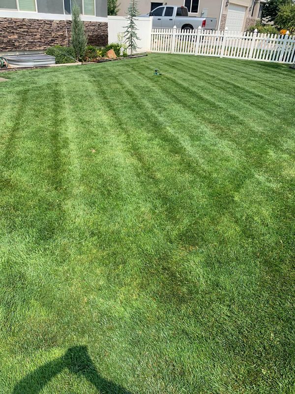 Other Lawn Services