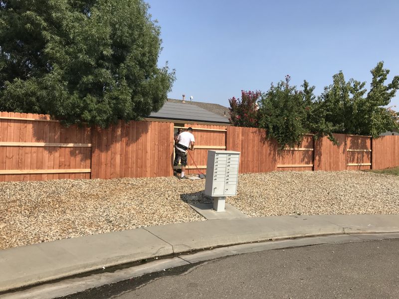 FENCE PICTURES