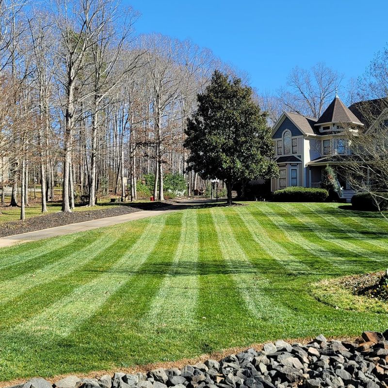 Lawn Maintenance