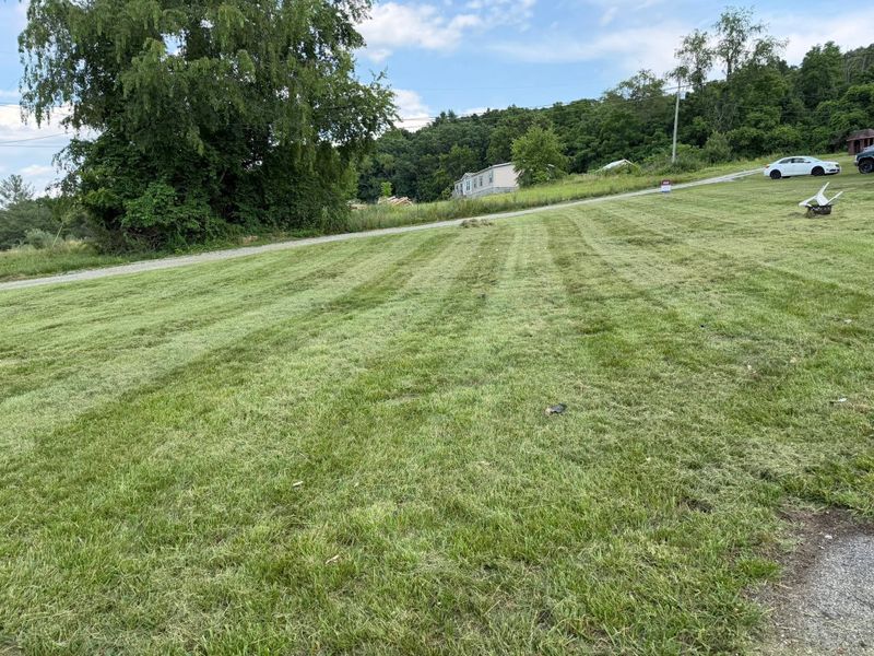 Lawn Maintenance