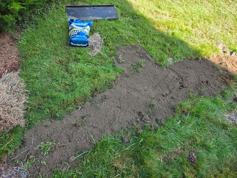 Weed Control
