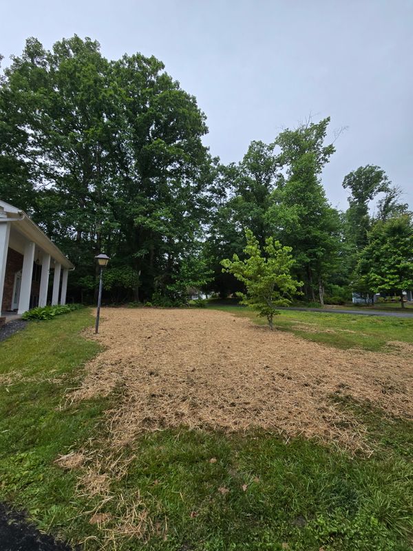 Soil Management and Mitigation