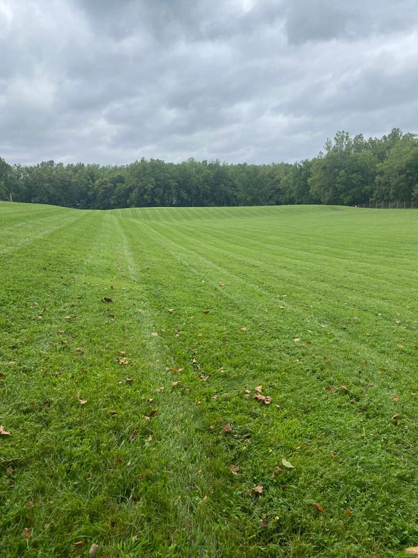 Lawn Care & Maintenance