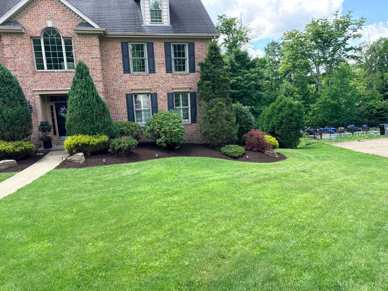 Landscaping