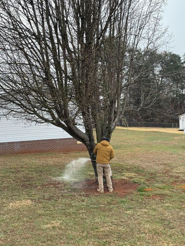 Landscaping