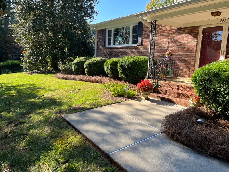 Pine Needle Installation