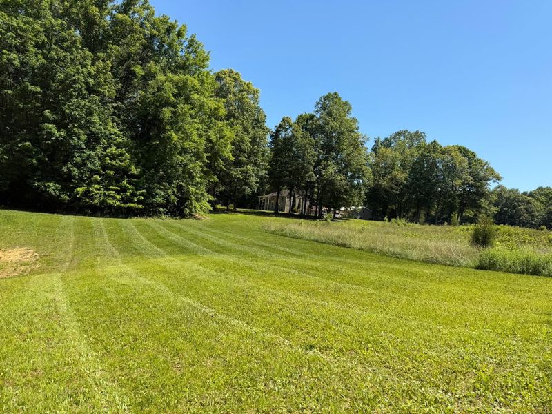 Tree & Shrub Care