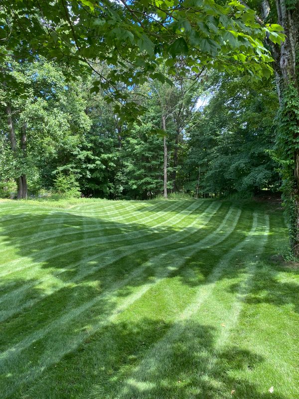 Lawn Maintenance