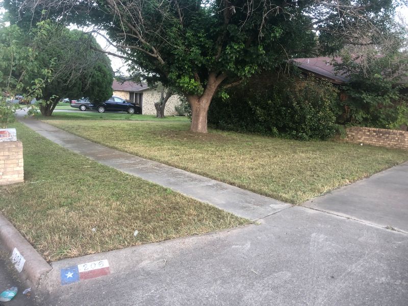 Lawncare