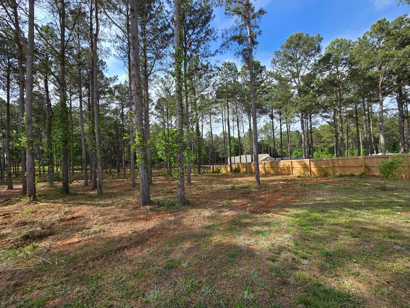Forestry Mulching