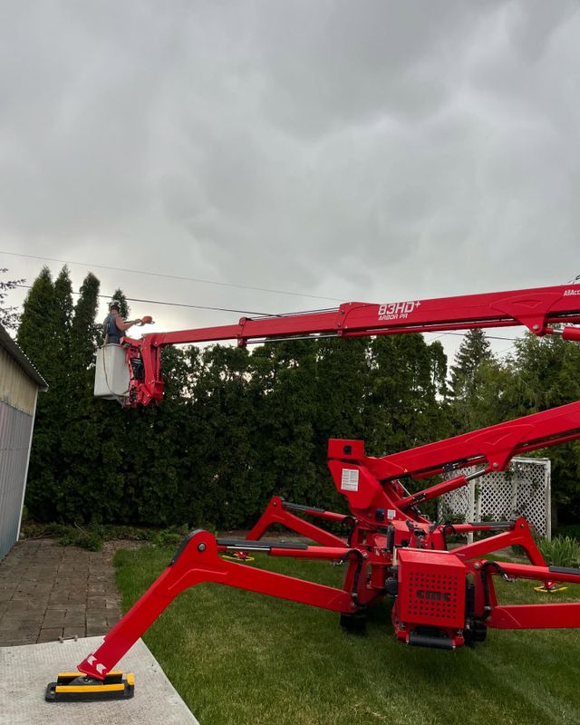 Tree Trimming gallery
