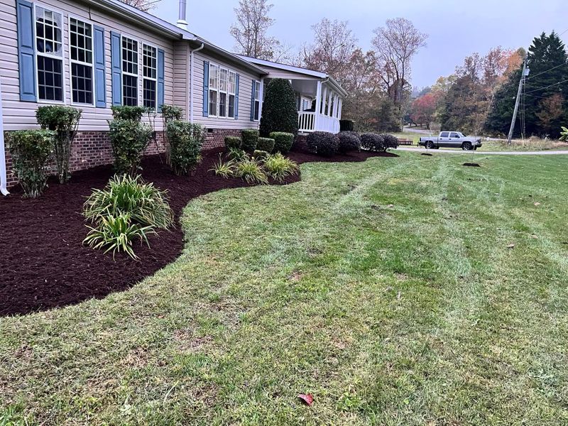 Lawn Maintenance