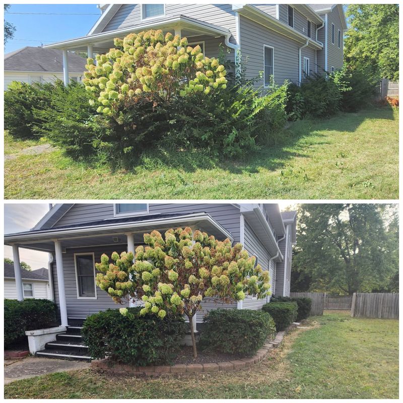 Commercial Lawn Maintenance