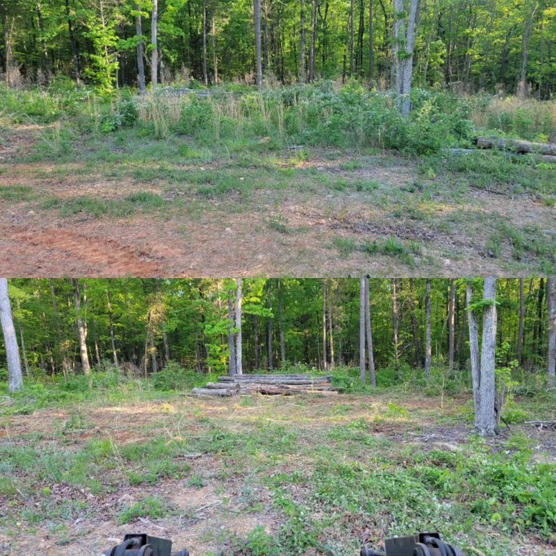 Before and After