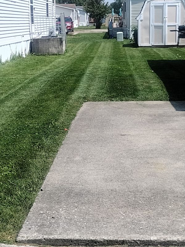 Lawn Care and Maintenance