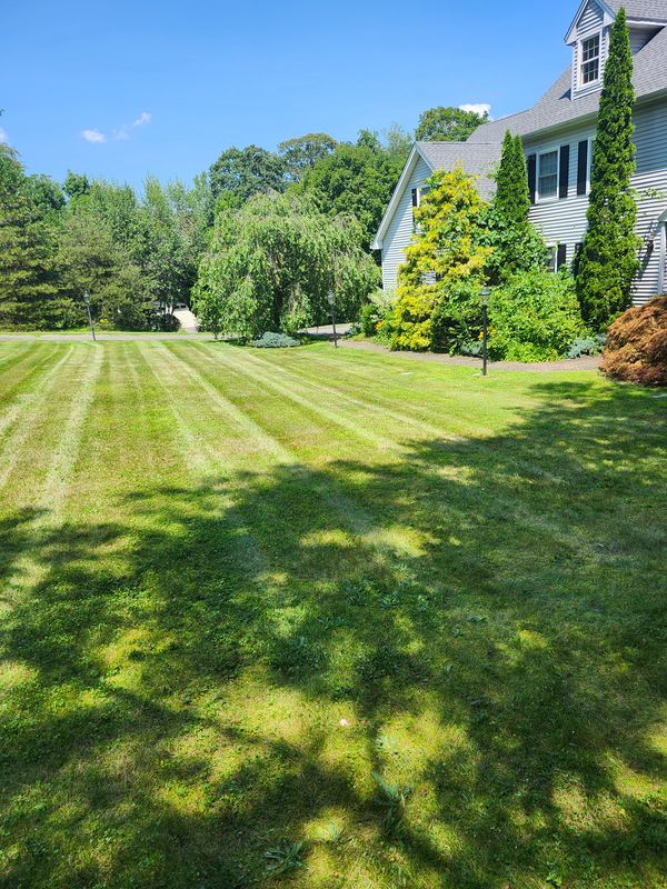 Mowing