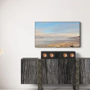 Custom Audio/Visual Solutions