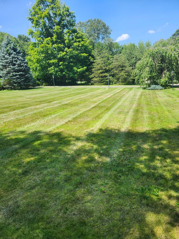 Lawn Mowing