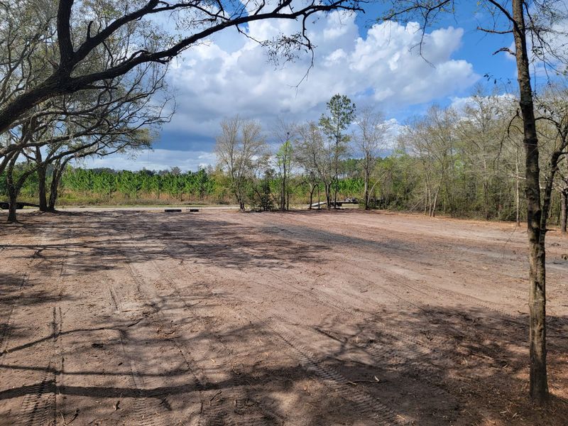 Land Clearing gallery