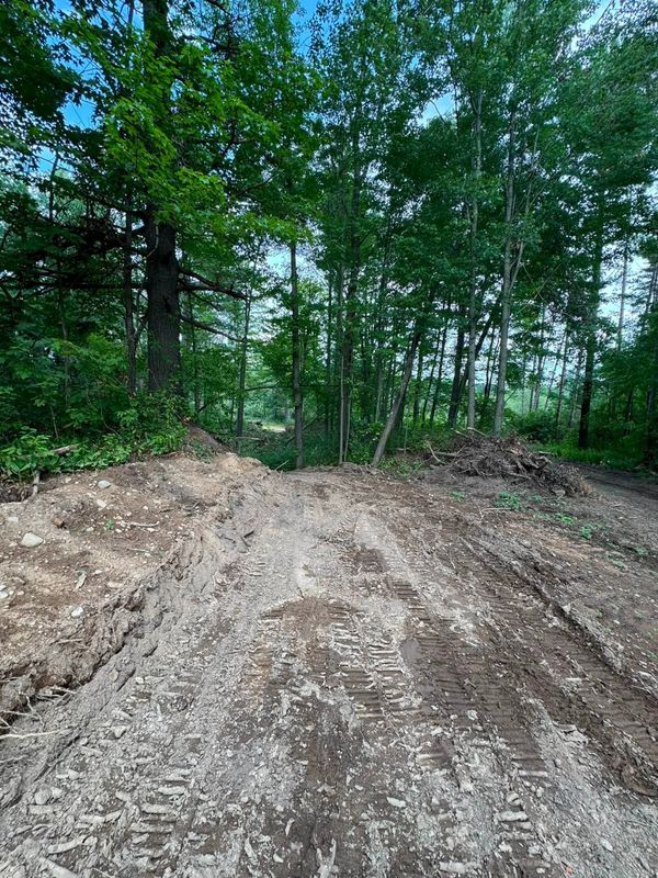 Tree and Vegetation Removal