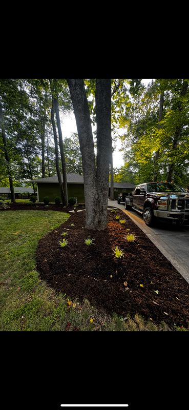 Landscape Installation