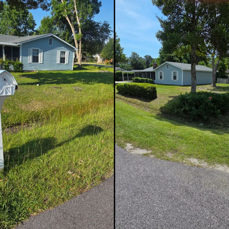 Routine Lawn Maintenance