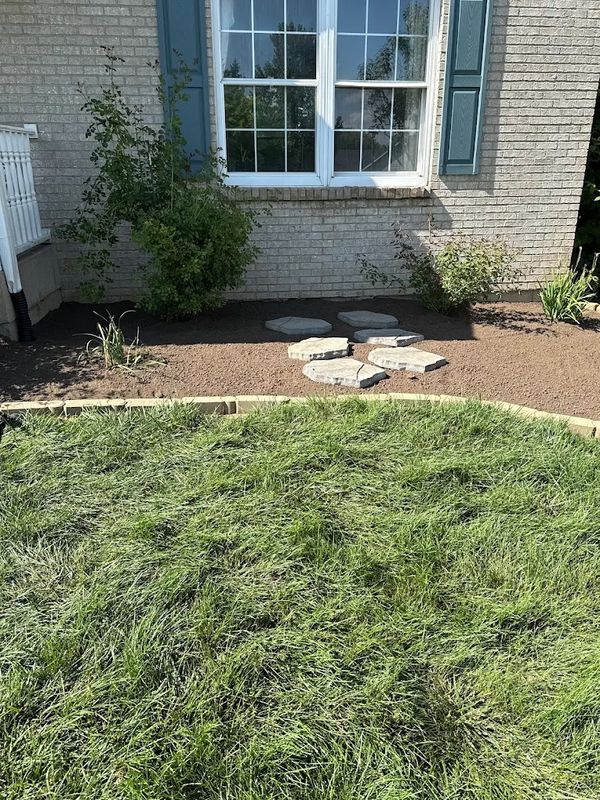 Sod Installation & Lawn Replacement