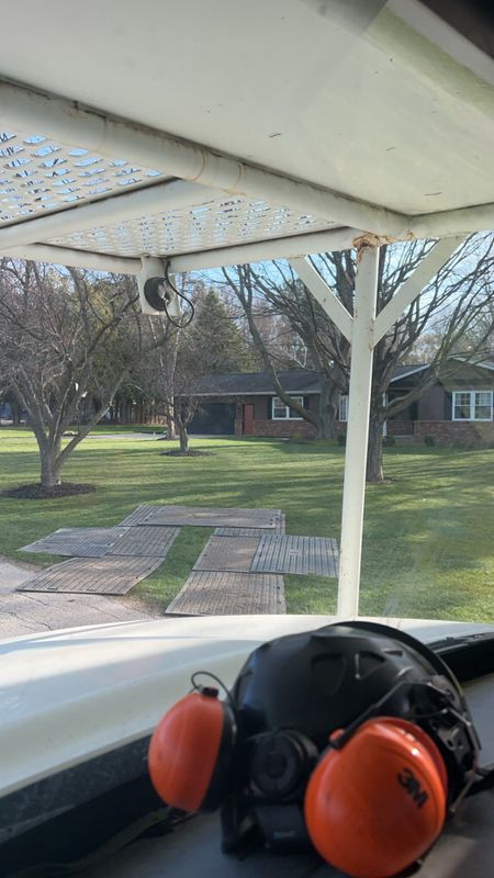 Revitalizing Freeport: Successful Removal and Cleanup of a Hazardous Dead Maple Tree